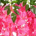 Bild 6 von 9
