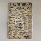 Types Of Sharks 12X8 Retro Shark Knowledge Vintage Metal Tin Sign Wall Decor