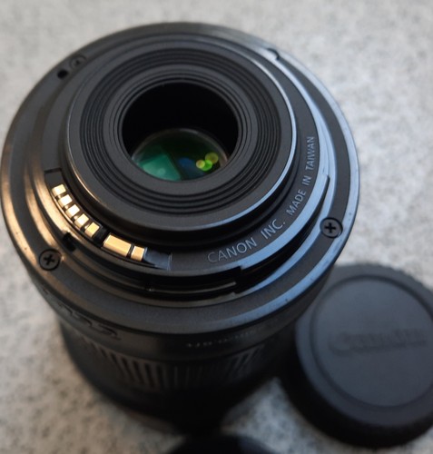 Lente zoom macro Canon EF-S 18-55 mm f/3,5-5,6 IS STM - Canon EOS DSLR - Imagen 7 de 13