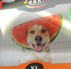 Best Xxl Dog Costumes Ebay