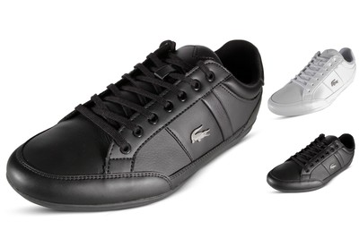 casual lacoste shoes