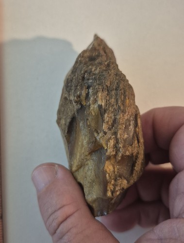 Florida Arrowhead Artifact Coral Tool Scraper Suwannee Co. b - Picture 3 of 4