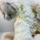 Bild 10 von 12