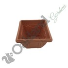 Foto 3 di 4