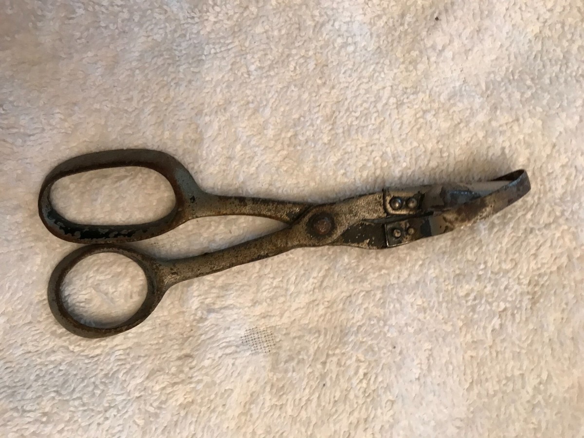 VINTAGE ANTIQUE PAT. 1901 pineapple eye SCISSORS | eBay