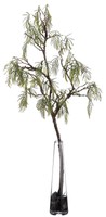Loon Peak Acacia Branch Foliage Tree In Decorative Vase on sale Loon Peak Acacia Branch Foliage Tree In Decorative Vase on sale