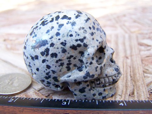 2.0" Dalmatian Jasper Stone Skull Hand Carved 92.1g 3.2oz Crystal Healing - Picture 4 of 12