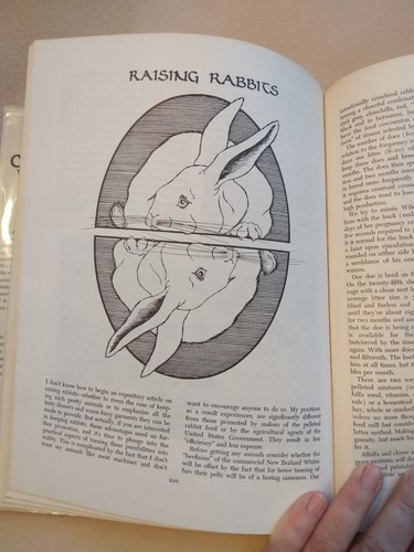 Country Women Handbook For The New Farmer Jeanne Tetrault 1976 Homesteading - Picture 16 of 24