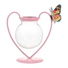  Blumen Innentopf Dekorativer Blumenpot Hydroponische Pflanzen Vase