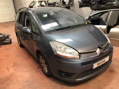 Portiera Posteriore Sinistra per CITROEN GRAND C4 PICASSO Avatar 2007 98634 - Foto 5 di 10