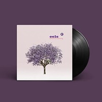 Eels - Tomorrow Morning - Vinyl Record 12 Record - F123Z