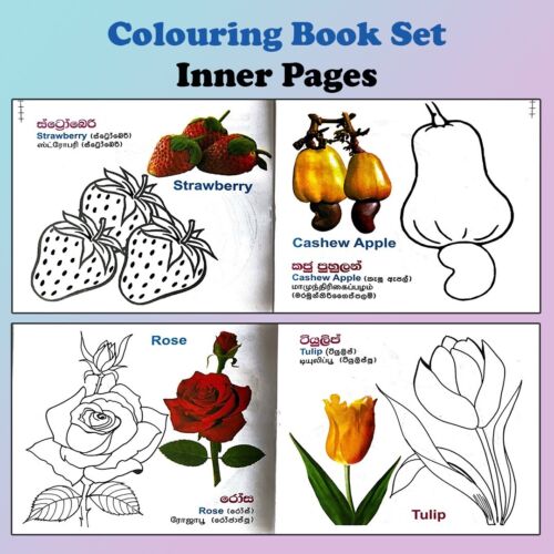 Lot 12 Childrens Kids Early Reading Story Colouring Toddler Preschool Board Book - Picture 16 of 16
