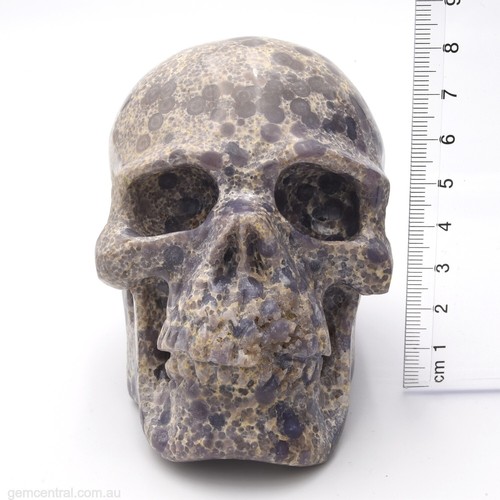Skull 80mm Grape Agate 655g, Gemstone, Hand Carved, Metaphysical, Reiki - Picture 8 of 8