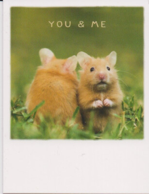 Mini - Karte:  You & Me - zwei niedliche Hamster - im Stil eines Polaroidfotos