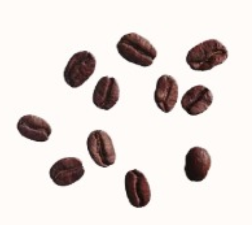 Ancient Roots, Medium Roast Flavored Coffee with Benefits of Mushroom, 12 ounces - Picture 7 of 11