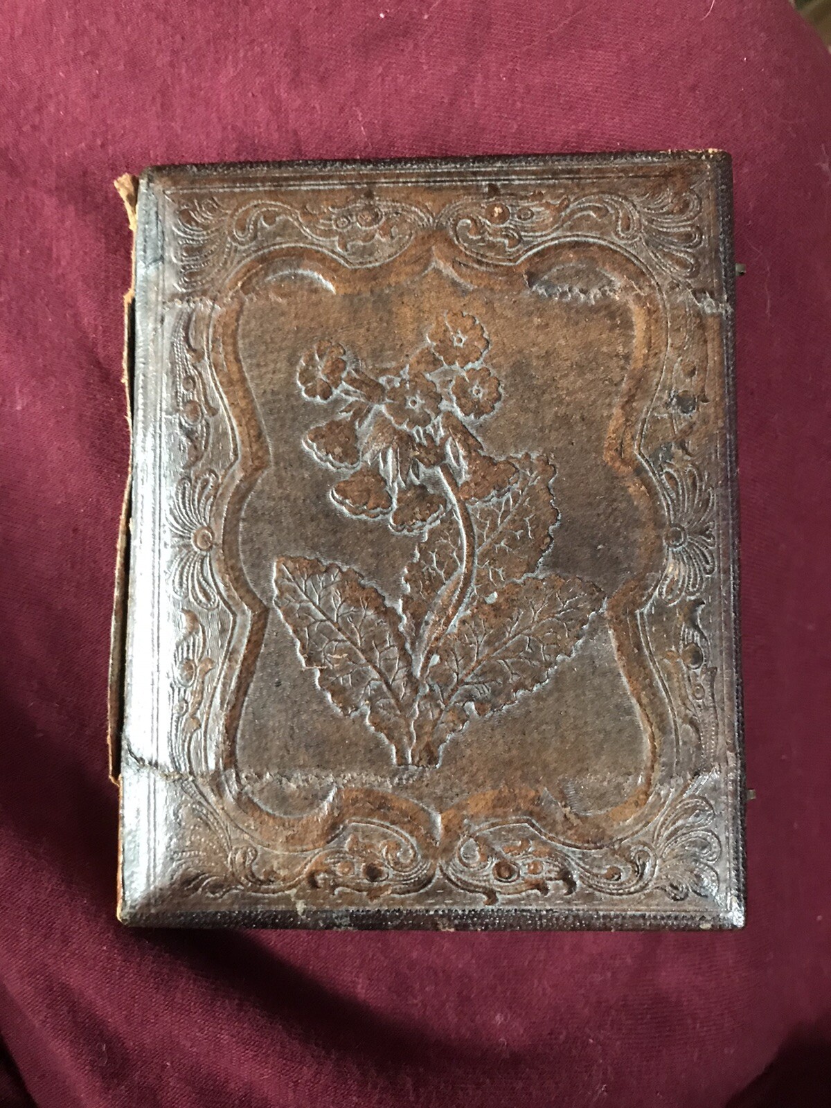 Picture 7 of 7