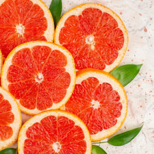 Grapefruit Zest Soap / Candle Making Fragrance Oil 1-16 Ounce  Free Shipping 