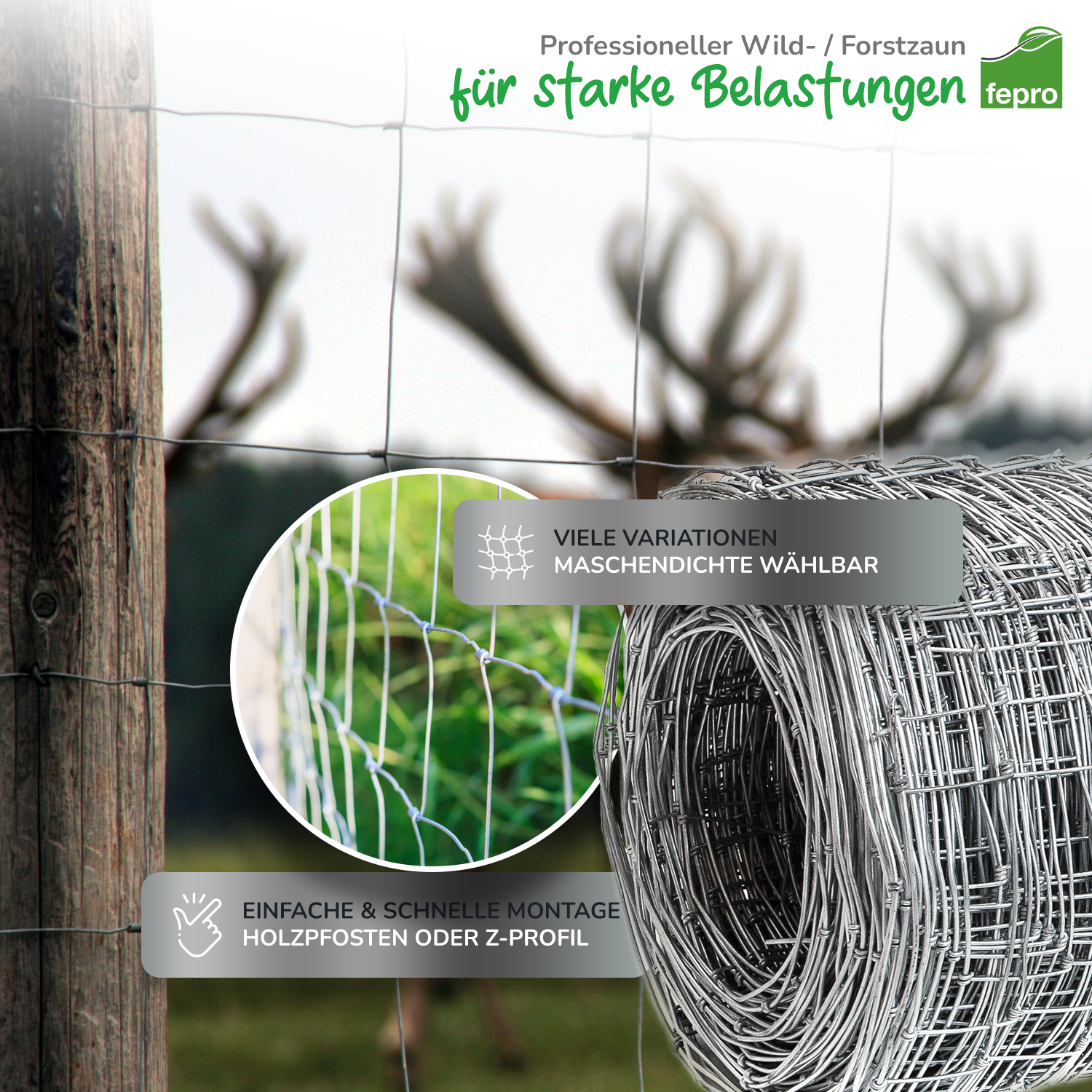 Bild 3 von 6