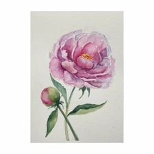 original watercolor painting Peony flower Art Pink Peony painting floral artwork