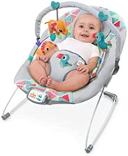 Baby Bouncer Soothing Vibrations Infant Seat -Taggies, Music, Removable -Toy Bar