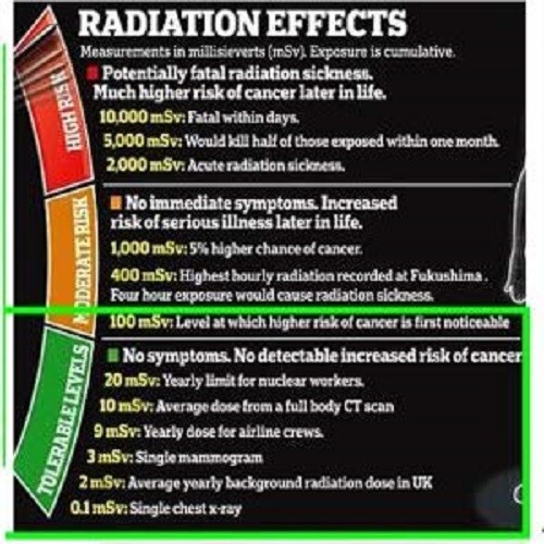 RAD Triage 50 Radiation Dosimeter and Self-indicating Radiation Alert Card ✅ - Bild 5 von 9