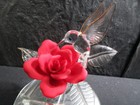 Bild 7 von 12