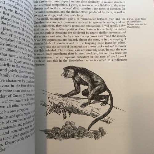 Heritage Press THE DESCENT OF MAN Charles Darwin 1972 Leather  - Picture 5 of 10