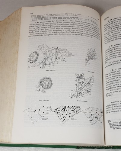 Manual of the Vascular Flora of South Carolina, 1974 - Imagen 6 de 12