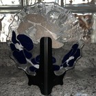 Bild 7 von 8