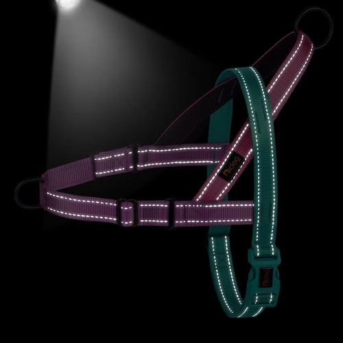 No Pull Dog Harness with Soft Padded Handle, Quick Fit & Lightweight Adjustab... - Bild 4 von 5