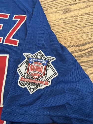Reilin Ramirez #64 Game Used Chicago Cubs 2019 Spring Training Blue Jersey Sz 50 - Picture 3 of 9