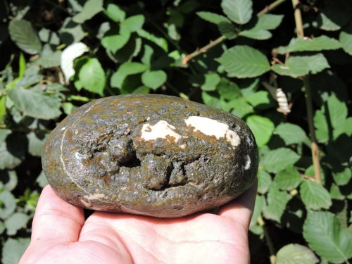 Pair of GALAXY Porphyry on ORBICULAR Rhyolite Nodules Chalcedony & Agate Inclus - Picture 12 of 24