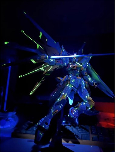 Super Welfare Bandai MG Freedom Gundam Ver.2.0 Adapt To Golden Phoenix Gundam - Picture 12 of 14