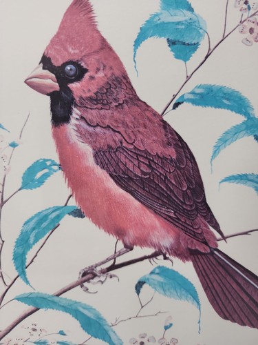 Red Cardinal Framed Art Print Hand Signed Gene Gray Collector Series XIII 22x18 - Picture 12 of 24