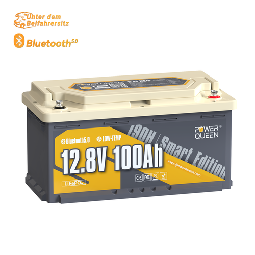 12V/24V 50Ah 100Ah 200Ah Lithium Batterie Bluetooth LiFePO4 Akku für Wohnmobil - Afbeelding 35 van 151