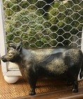 Photo 2/21