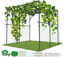 SUNYRISY 79'' x 79''x79'' Extra Large Tall Grape Vine Support Arch Arbor Trellis