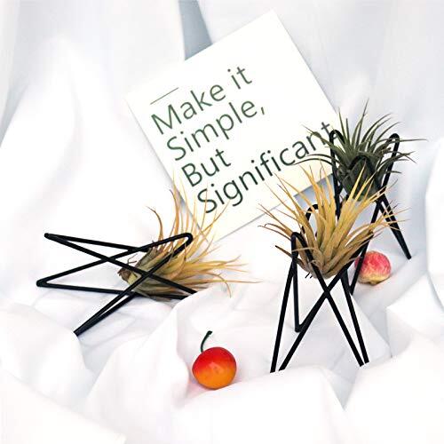 Pack of 4 Air Plant Holder Tillandsia Base, Modern Geometric Metal Air Plant - Picture 5 of 7