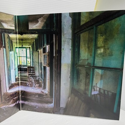 Vinyl Double Album: Gangrene : You Disgust Me : (The