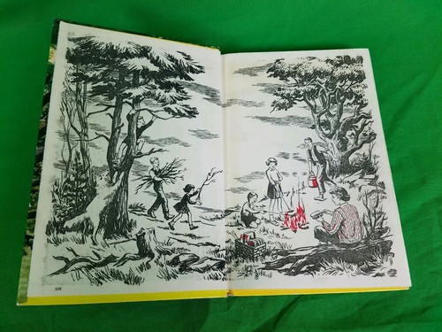 NICE 1962 The Happy Hollisters Haunted House Mystery HB Jerry West Printed Cover - Foto 5 di 8