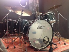 Hayman vibrasonic vintage custom made restaur...