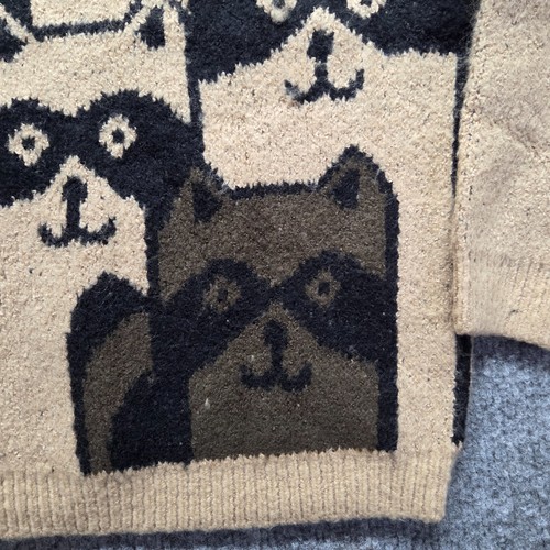 Zara Kids Boys Soft Pullover Raccoon Double Sided AOP Crewneck Sweater 4-5 - Picture 4 of 8