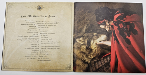 EVANESCENCE The Open Door Japan 1st Limited Edition CD+DVD w/OBI Bonustrack 2006 - Picture 9 of 15