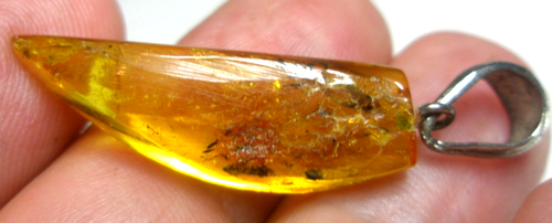 Ambra baltica naturale PENDENTE ,, ZANNA '' - Imagen 11 de 18