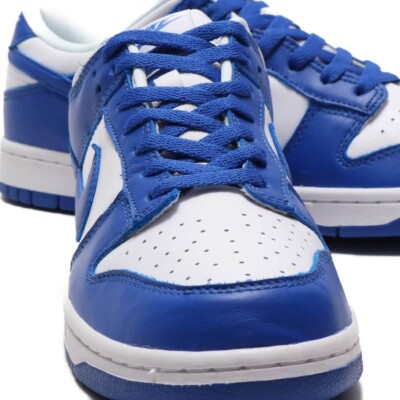 Nike Dunk Low SP 