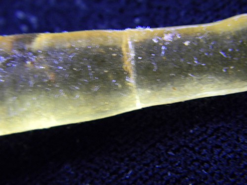Espécimen de ámbar copal natural del Pleistoceno con insectos - Madagascar 17,36 gramos - Imagen 6 de 9