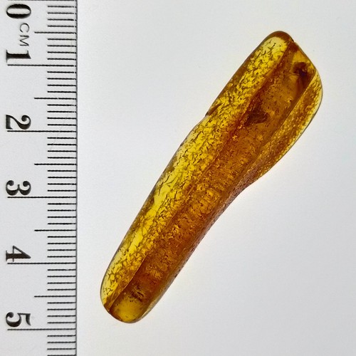 Baltic Amber fossils natural gemstone w/ three preserved bug inclusions 17.5ct - Picture 7 of 9