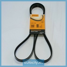 CONTITECH 3PK850 Cinghia Poly-V