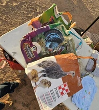 reusable bag shopping