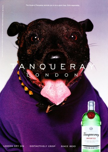 TANQUERAY GIN AD #53 RARE 1999 OUT OF PRINT VINTAGE 4 PAGES AD - Picture 1 of 5